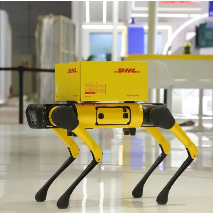DHL���ʿ��