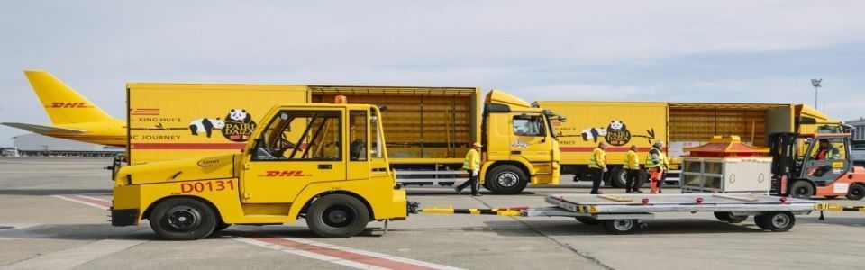 ����DHL���