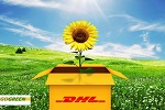 ������DHL���ʿ�� ����DHL�����˵绰 ��ݸ������DHL���ʿ���ʹ�